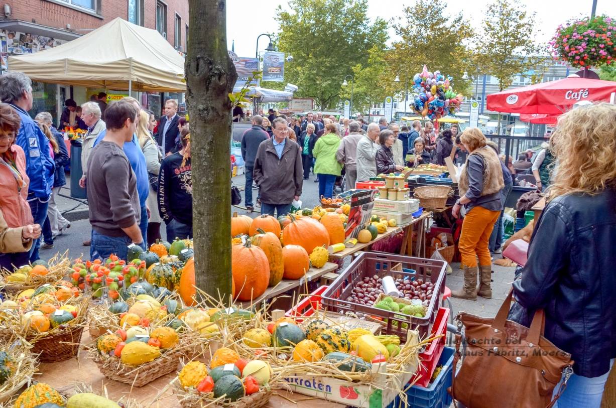 Autos, Wassertanks und bewegliche Betongewichte: Moerser Herbst mit erhöhten Sicherheitsmaßnahmen