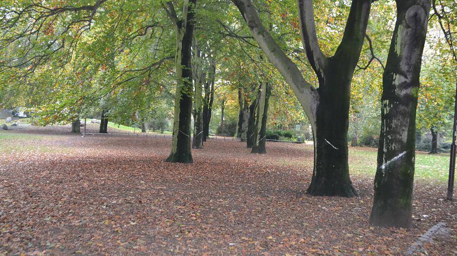 Umbau im Kantpark gestartet