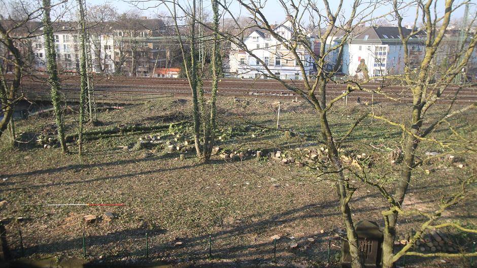 Saumstraßen-Wäldchen wird gerodet