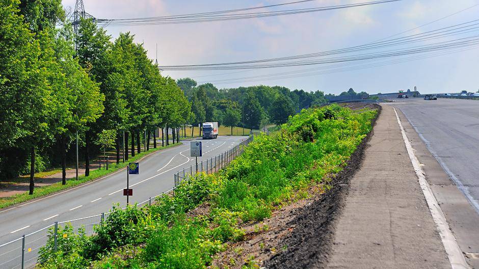 Da, wo noch nichts eingesetzt ist, hat man noch einen ungehinderten Blick auf die...