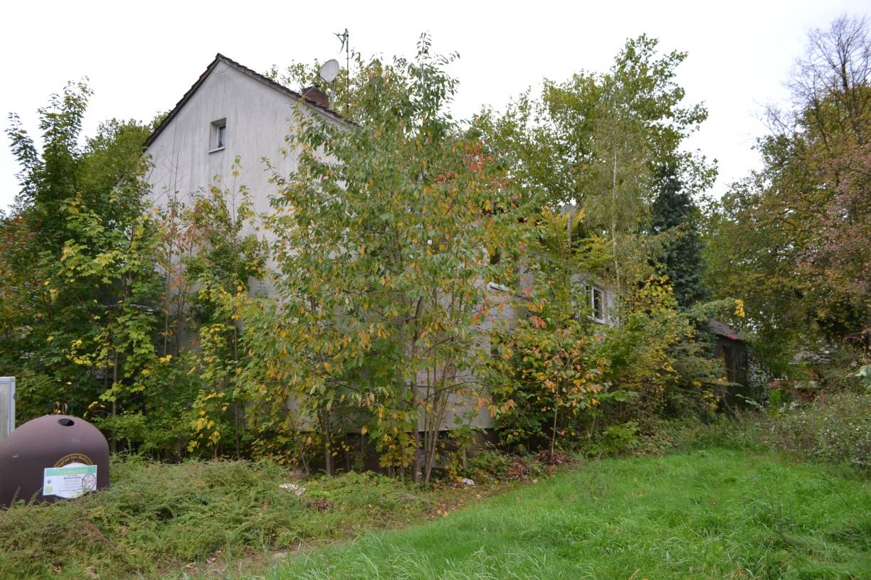 Momentan ist das Grundstück komplett verwildert.