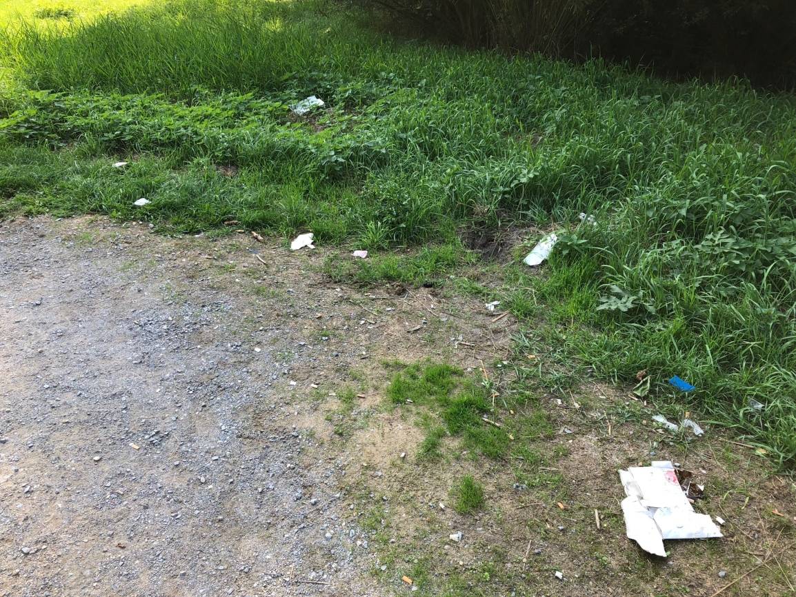 Müllsünder, muss das denn sein?