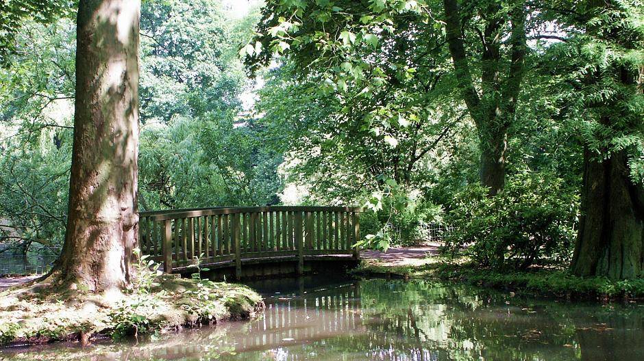 Von Römern und Bäumen