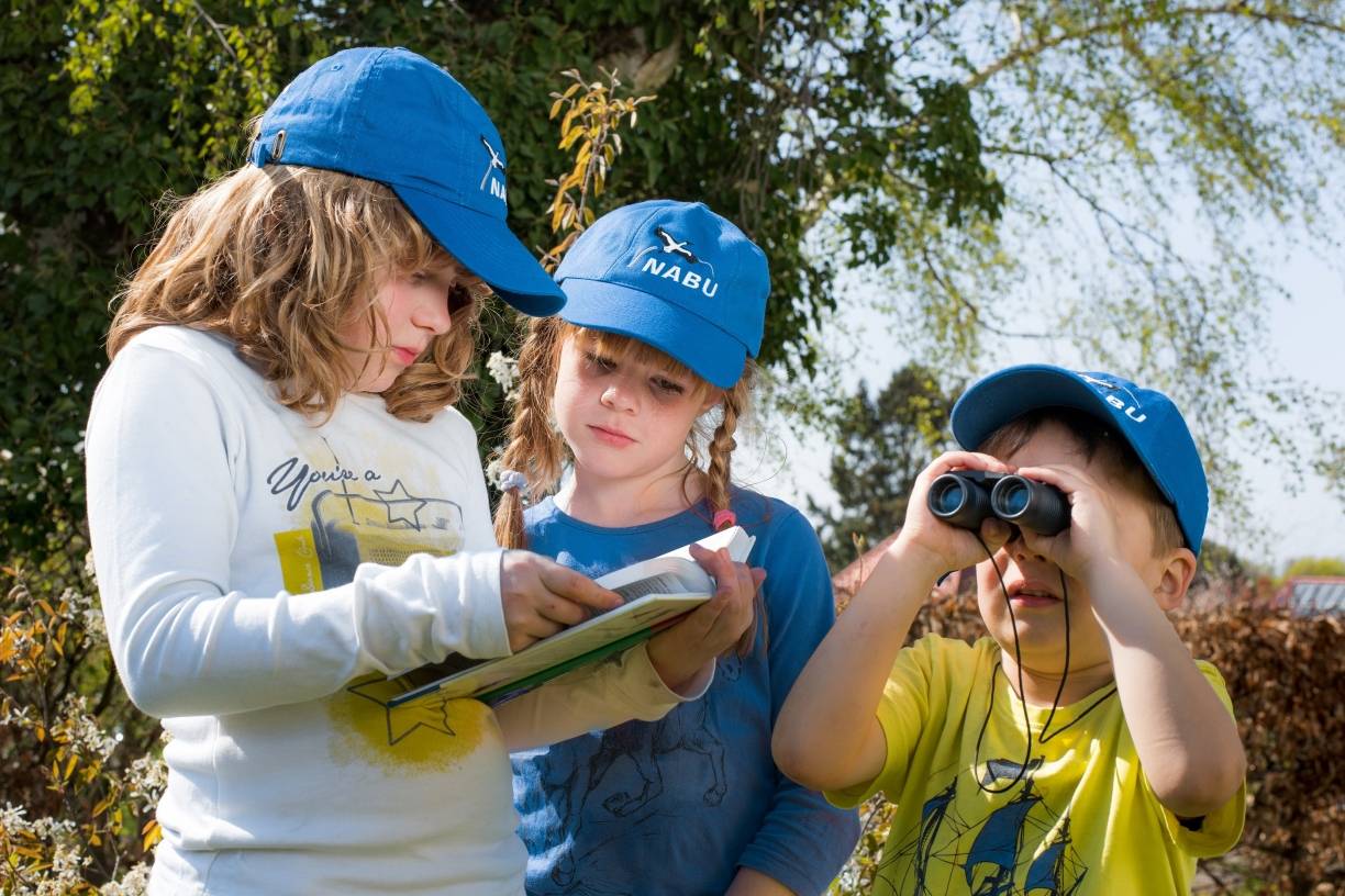 Die Stunde der Gartenvögel