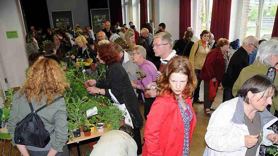 Der Pflanzentauschmarkt bringt Grün in die Stadt!