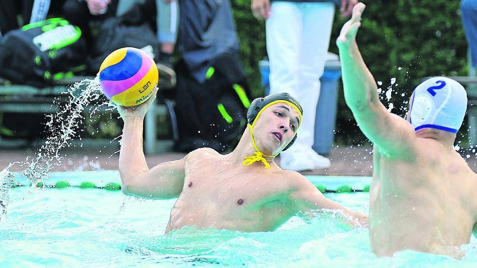 Amateure sind heiß auf Waspo