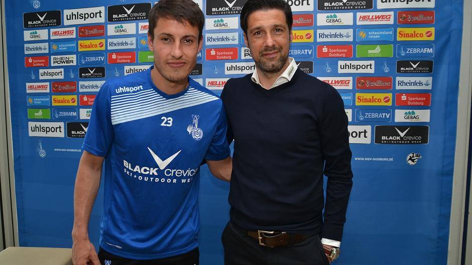 Die Zebras vorm Meisterstück