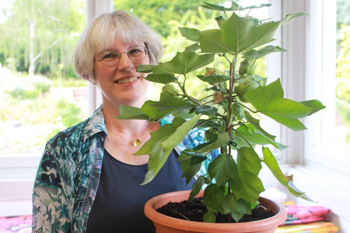 Wie aus Pflanzen farbige T-Shirts werden