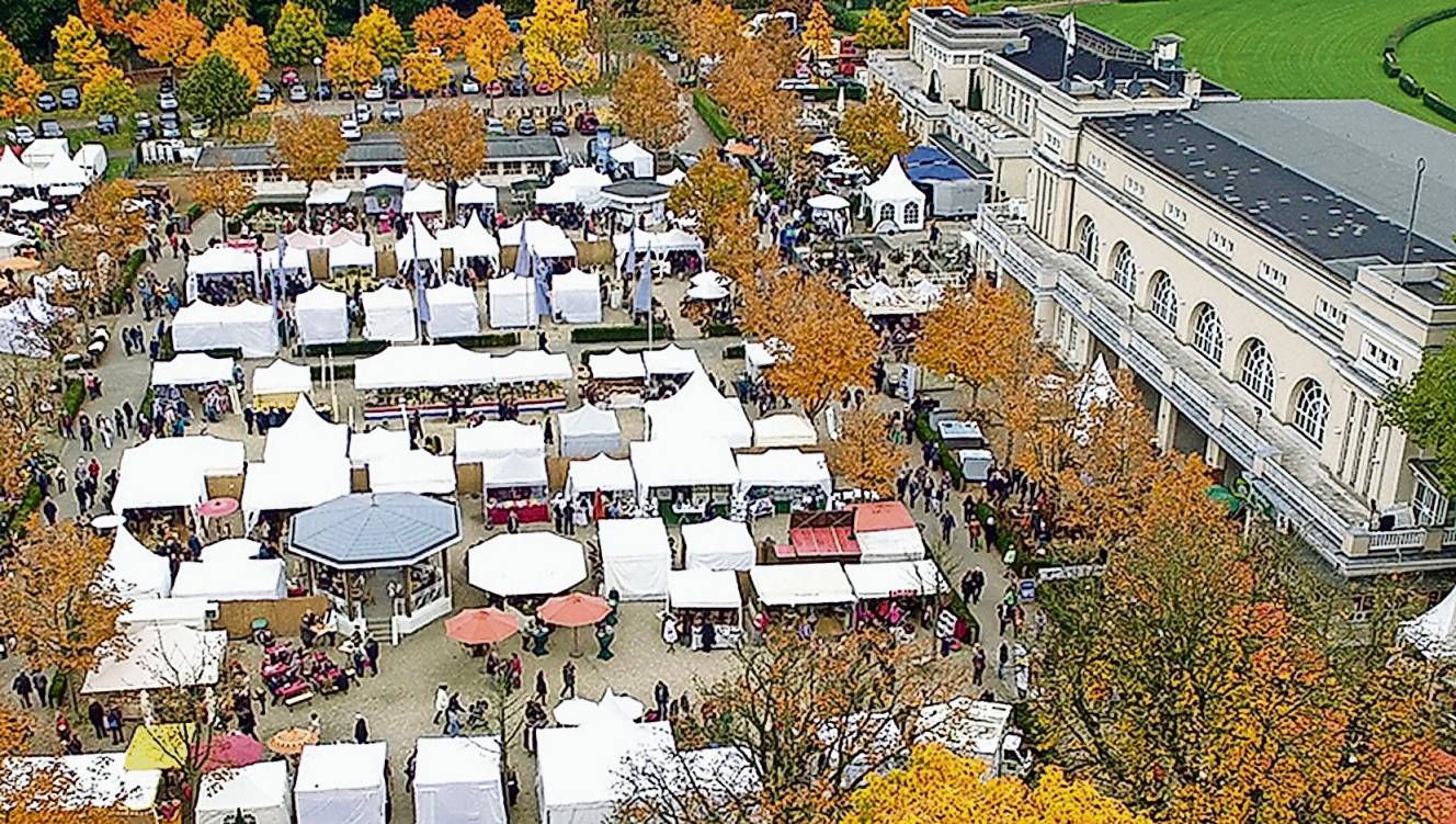 Herbstzauber auf der Rennbahn
