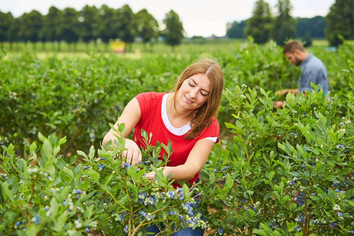 Jetzt gibt es den Extrakick für die Gesundheit