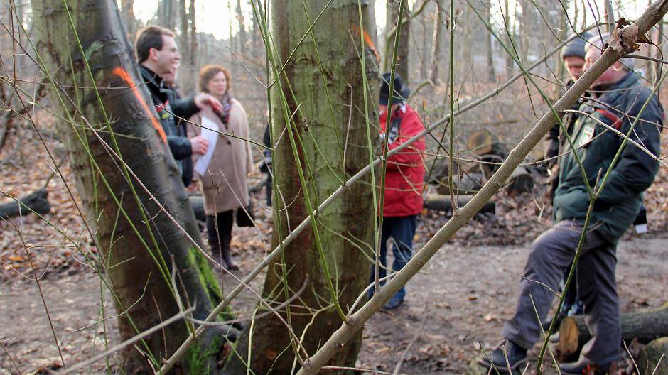 Von diesem Baum geht eine Gefahr aus. Er muss aus Sicherheitsgründen weichen, erklärt Förster Marco Wesselowksy (l.) u. a. Vertretern der Bürgerschaft.