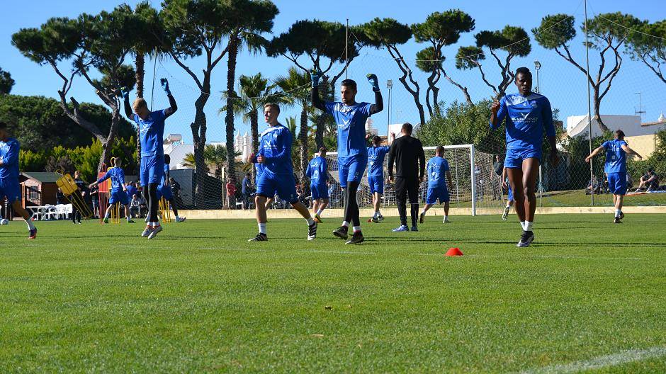 Die Zebras in Portugal