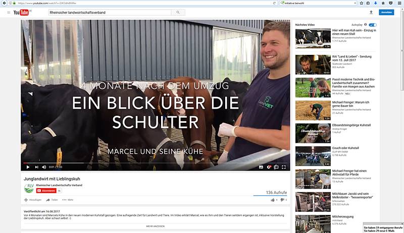 Wenn Kühe umziehen....