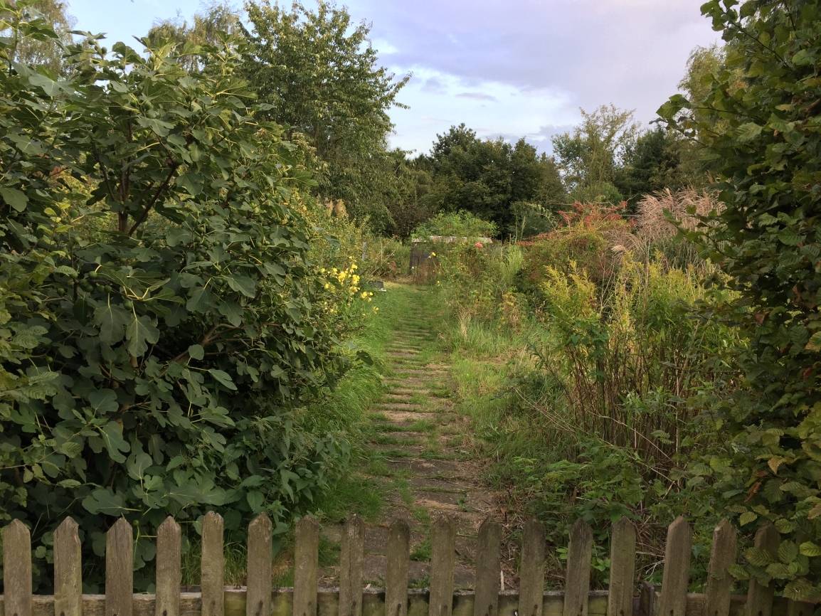 SPD entsetzt über Grüne