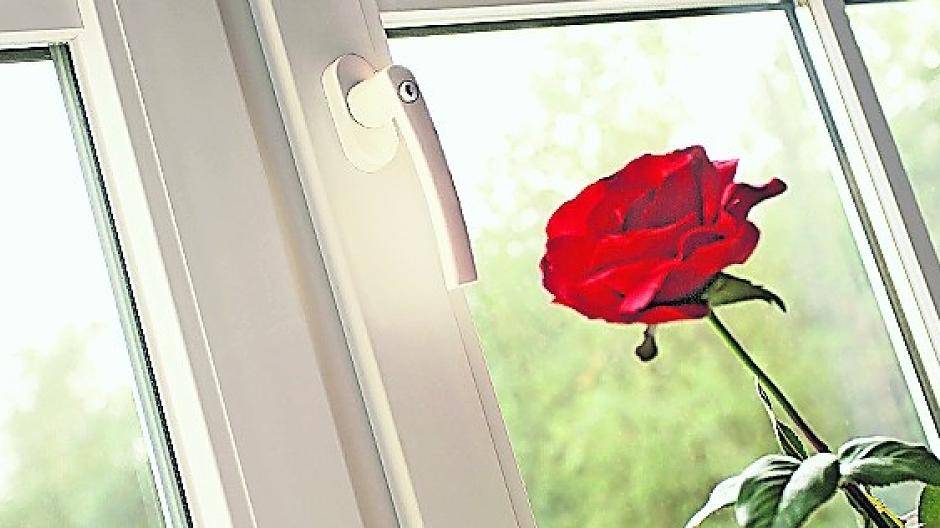 Egal ob Neubau oder Fensteraustausch im Altbau: In jedem Fall sollten die Bewohner auf einen wirksamen Einbruchschutz achten.