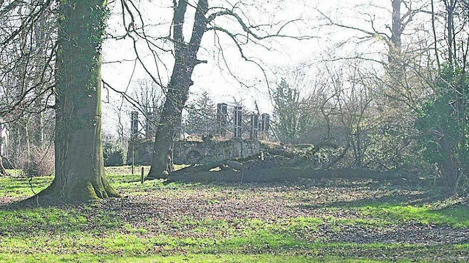 Führung im Weyhe-Park