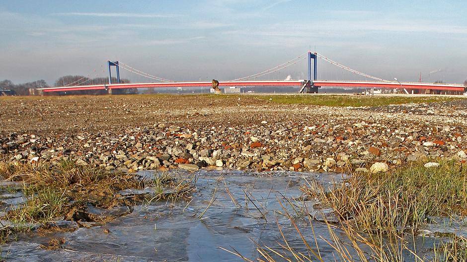 Besonders im Rhein-Vorland gibt es jetzt viel zu...