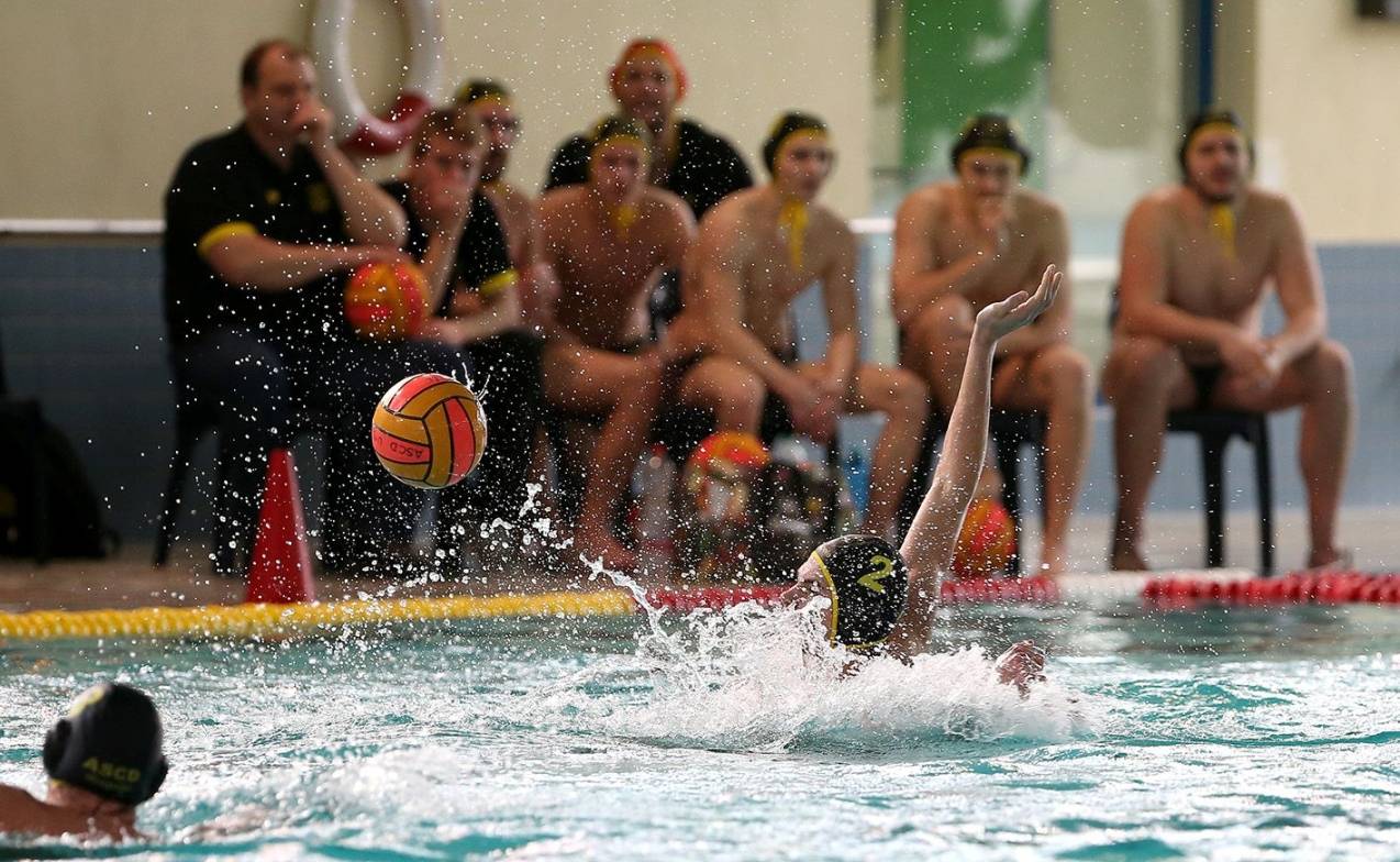 ACD-Wasserballer empfangen den Meister: Voller Fokus auf das Final Four