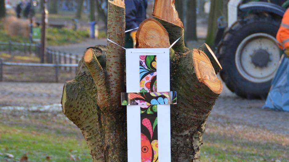 Die Umgestaltung stößt nicht überall auf...