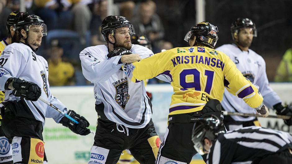 Pinguine bei den Panthers