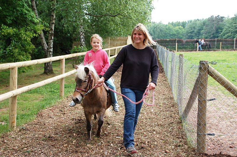 "Ponyreiten ist keine Tierquälerei"