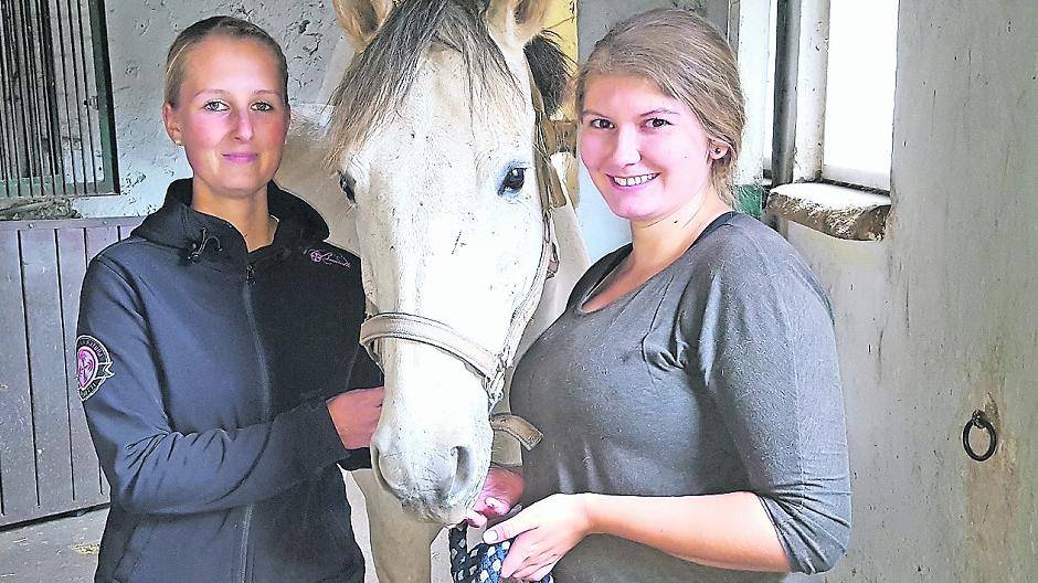  Daniela Hennesen (26), Wallach Fako (9) und Leonie Dinter (22) appellieren an Hundehalter, vorsichtiger zu sein. 