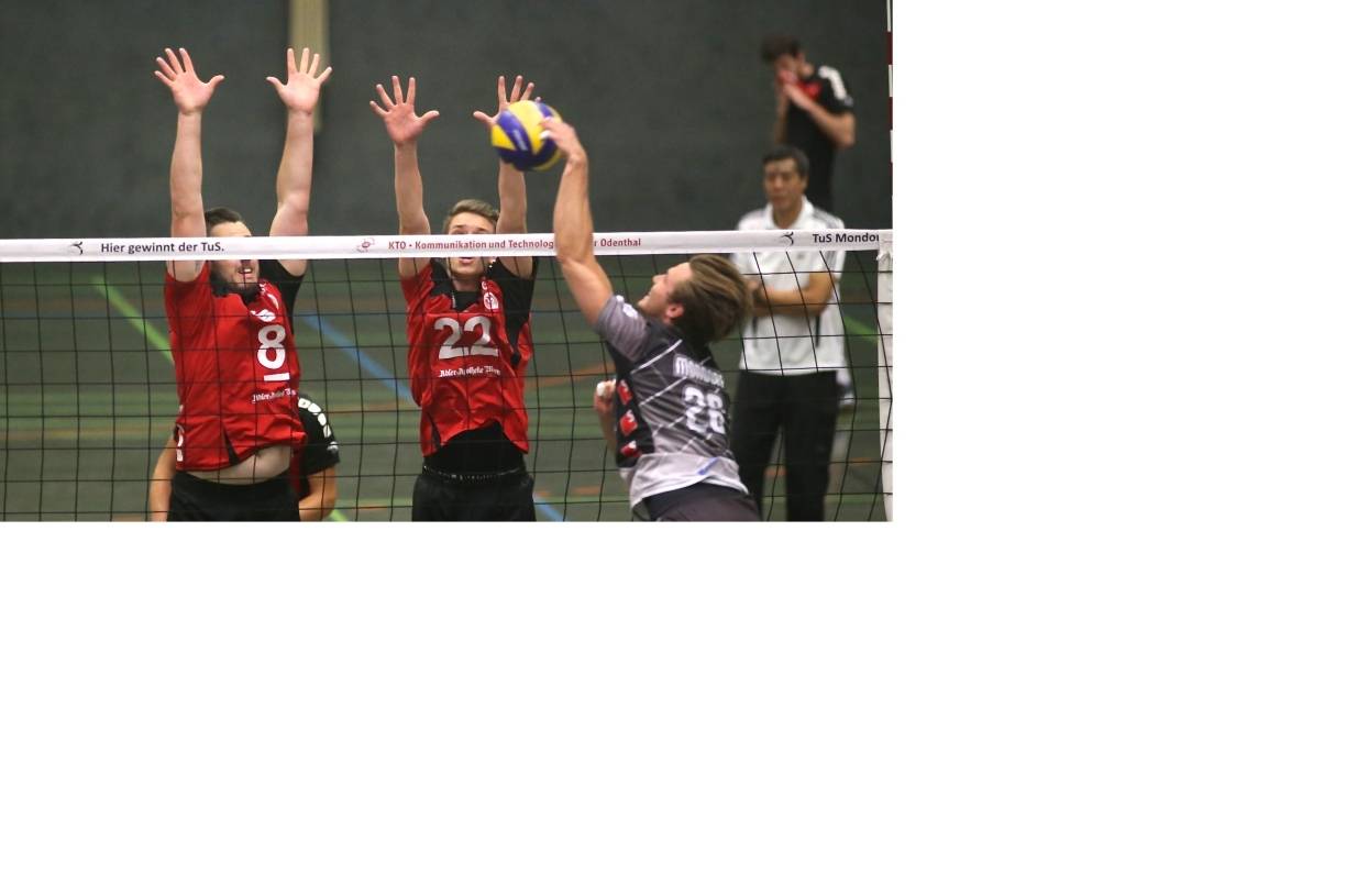 Volles Programm für alle MSC-Teams