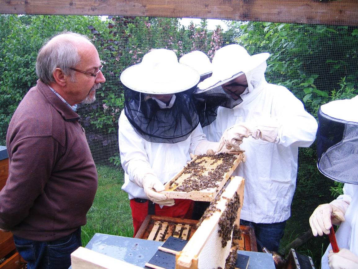 Niederrheinisches Freilichtmuseum: Imker informieren über "fleißige Bienchen"