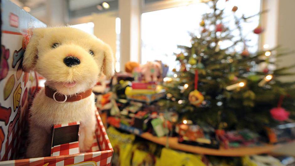 Wunschbaum-Aktion feiert Geburtstag