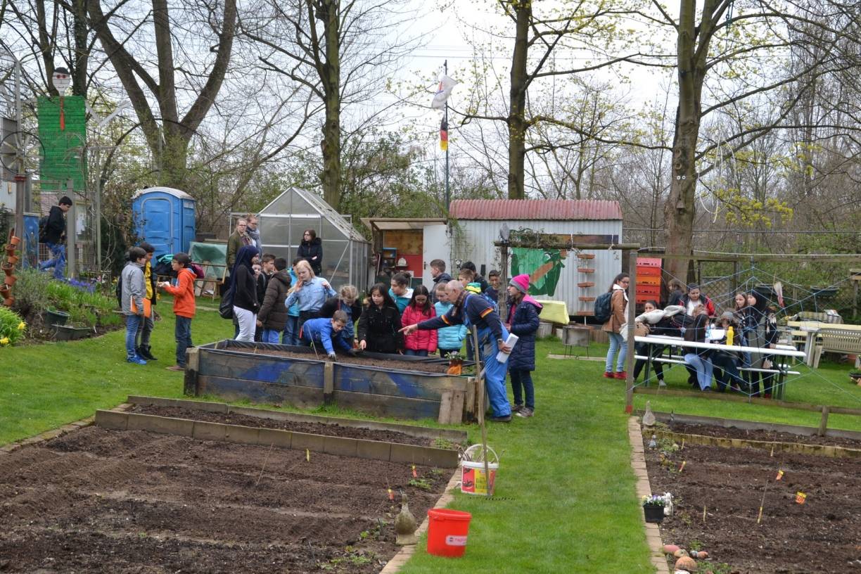  Der Schulgarten ist nicht nur in den Pausenzeiten von Schulkindern dicht belagert. Hier macht gärtnern einfach Spaß, beschreiben viele — besonders, wenn es an die Ernte geht. 