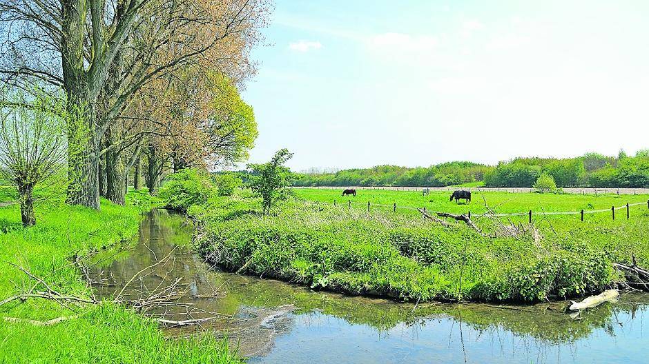 Östlich der Stadtbahnlinie, hinter der Haltestelle „Kesselsberg“, zeigt sich Huckingen immer noch als niederrheinisches Dorf. Auen, Felder, Kopfweiden sind die Elemente, die einzig den Blick zum Horizont verstellen.