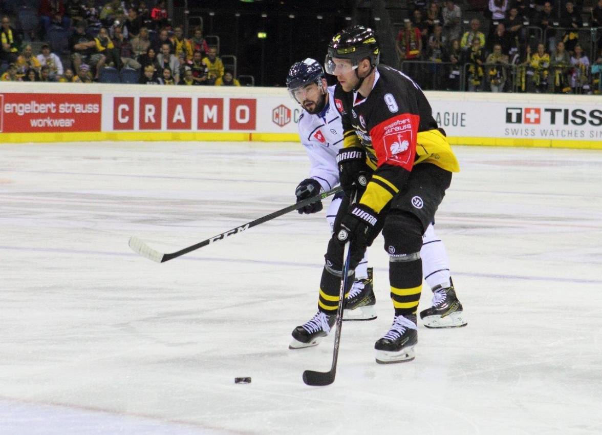 „Malla“ bleibt ein Pinguin