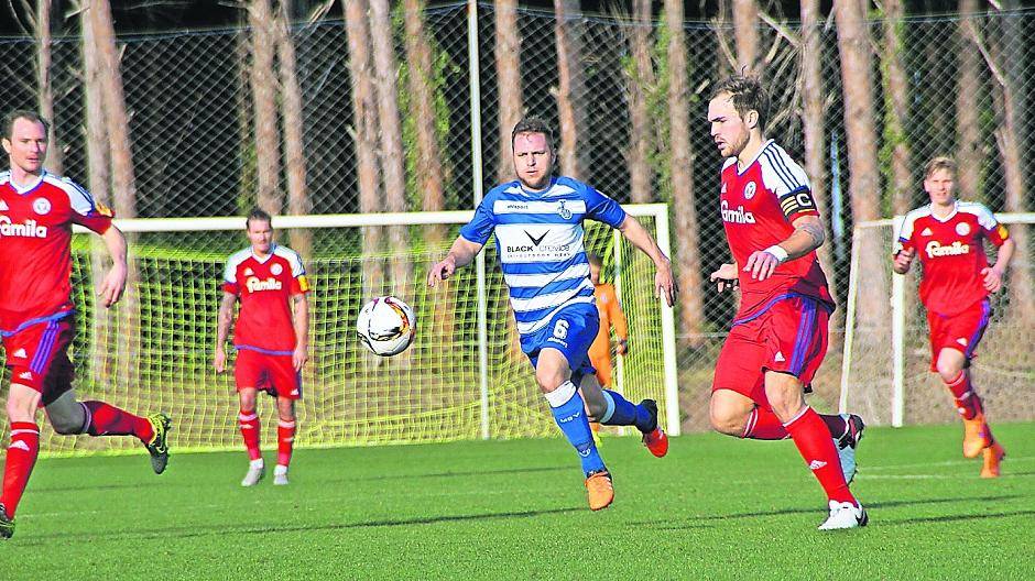 Zebras mit viel Luft nach oben