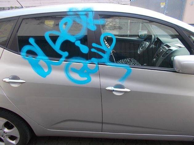 13 Autos mit Graffiti besprüht
