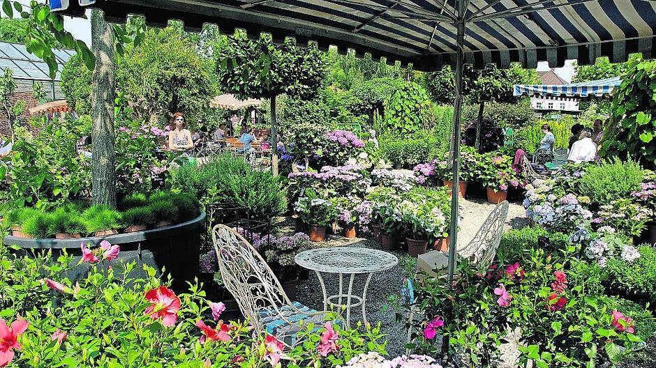 Am besten erkundigen sich Balkongärtner bei einer persönlichen Beratung in der Baumschule, welche Pflanzen sich für die Topfkultur eignen.