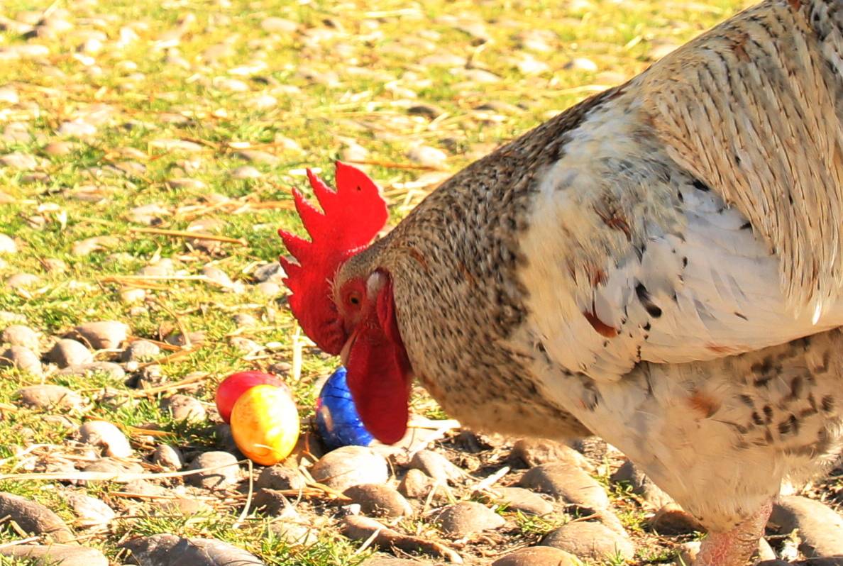 Ostereiersuche im Freilichtmuseum