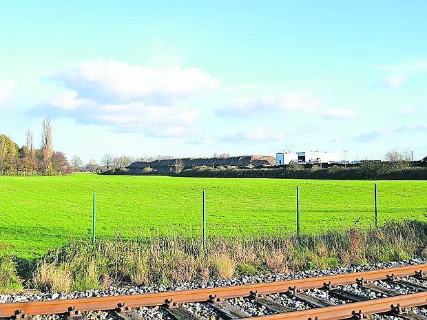 Um diese Grünfläche, die als Landschaftsschutzgebiet ausgewiesen ist, soll das Gewerbegebiet Rheindeichstraße erweitert werden. Anwohner sind wenig begeistert.