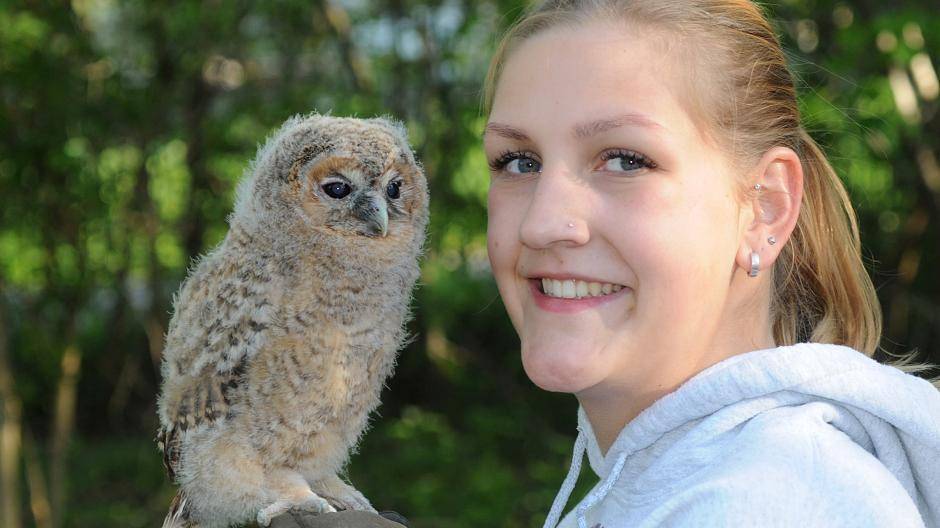 Jungeulen und Käuze unbedingt sitzen lassen