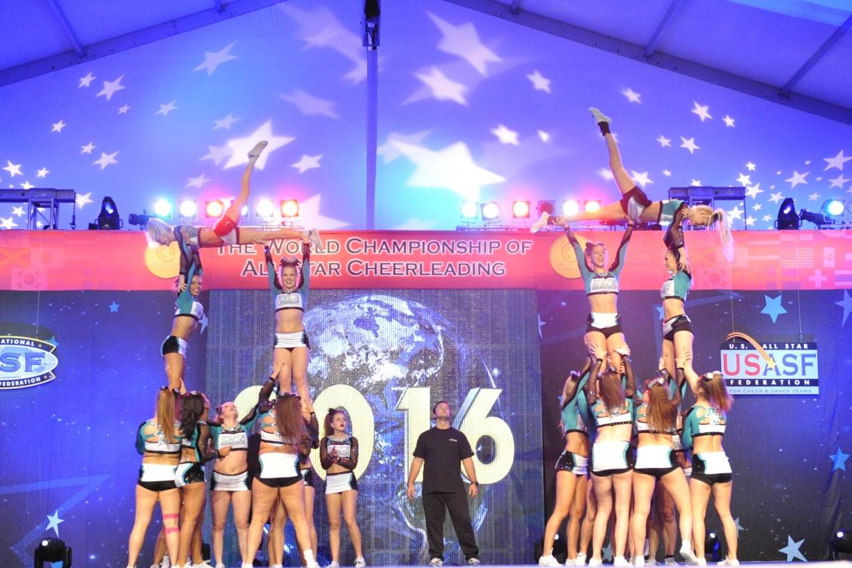 Dolphins ziehen ins WM-Finale ein