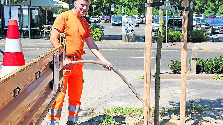  Die Mitarbeiter der Stadt geben bei der Bewässerung alles — stoßen dabei aber an ihre Grenzen. Daher bittet die Verwaltung Anwohner, den notleidenden Bäumen selber mit Wasser zu helfen. 