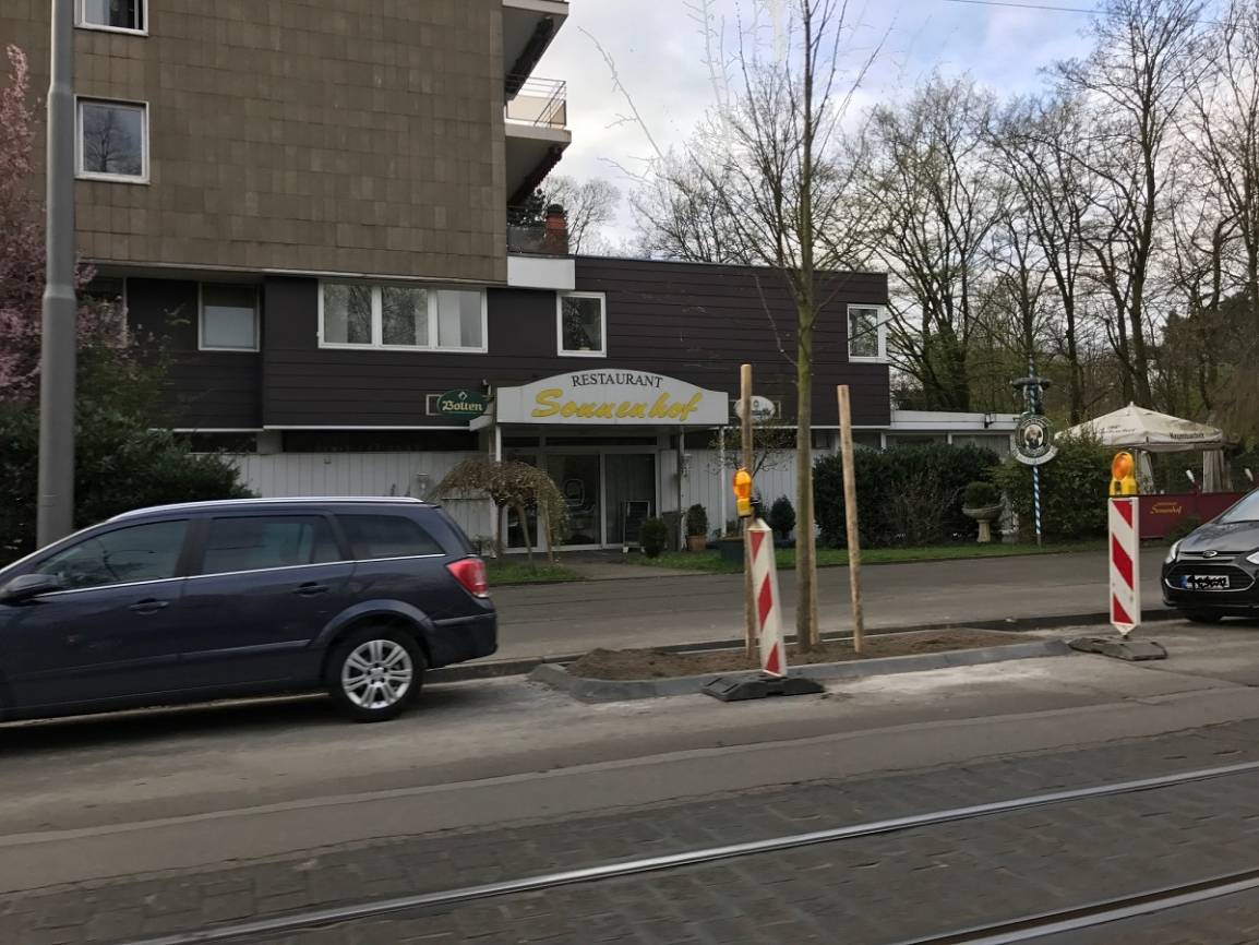 Ach, übrigens...: Baumpflanzung am falschen Ort