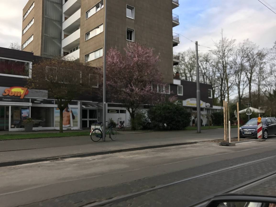 Ach, übrigens...: Baumpflanzung am falschen Ort