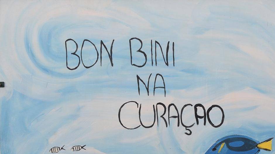 Marcel bei den Delfinen