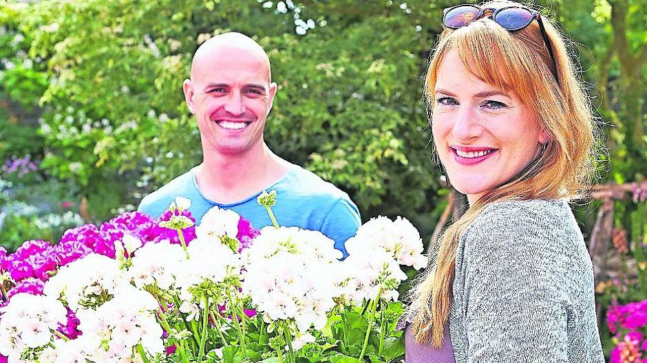  Ein üppig mit Geranien bepflanzter Korb ist ein wunderschöner Blickfang und zum Start der Beet- und Balkonpflanzensaison eine tolle Geschenkidee für alle, die über ein sonniges Plätzchen im Freien verfügen. 