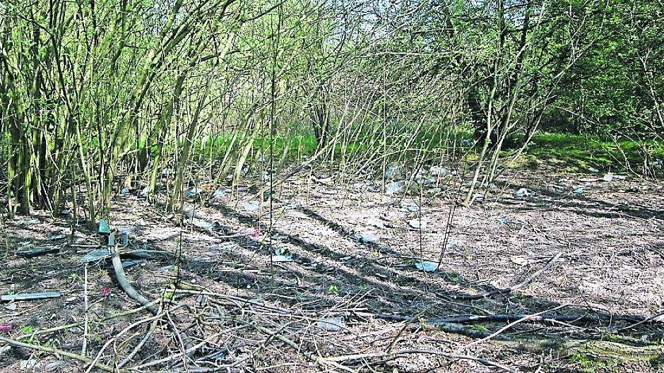  Eine völlig zugemüllte Grünfläche am Albert-Einstein-Gymnasium „schreit“ nach Säuberung. 