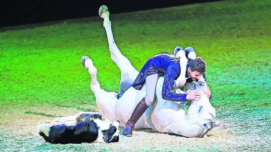 Vielfalt des Pferdesports