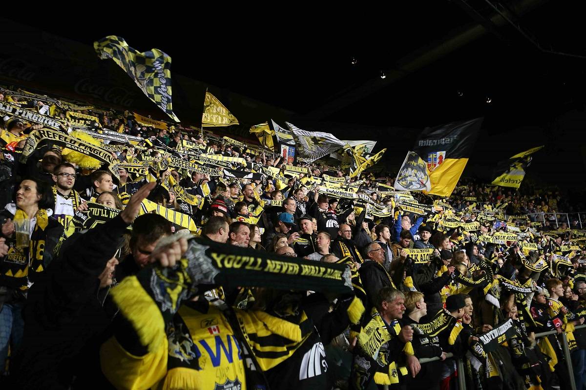 Pinguine senken Preise: „Brauchen wieder die schwarz-gelbe Wand“