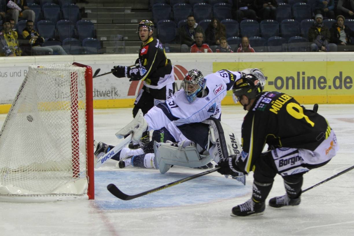 Pinguine wollen auch mal "Schweinespiele" gewinnen