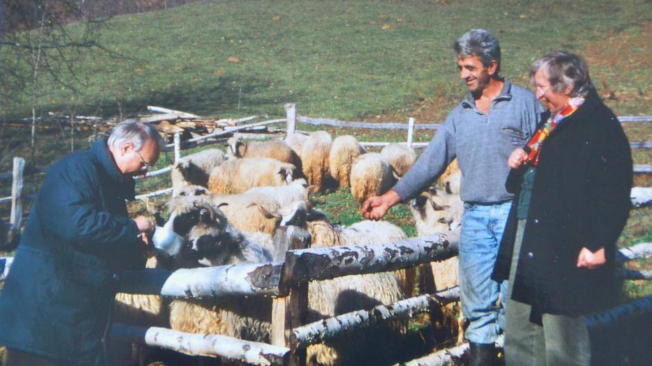 Inzwischen werden kleine Schafsherden — ein Bock und fünf Schafe — an Familien übergeben. Mit den Produkten können Familien überleben. Schlachten ist übrigens nur in Ausnahmefällen zugelassen. Foto: Archiv/ Heribert Hölz