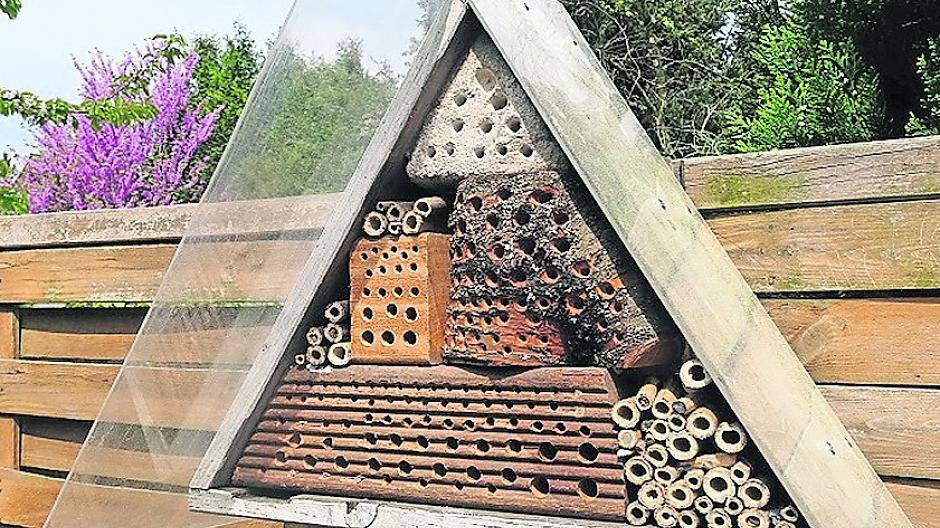  Büdericherin Saskia Mikulik hat ihr Insektenhotel in der vergangenen Woche fertiggestellt. Ein wenig handwerkliches Geschick ist schon gefragt, aber auch Ungeübte sollten es schaffen. 